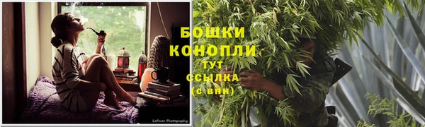 стаф Рославль